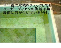 ¥æ¥Ë¥¬¡¼¥Ç¥£¥¢¥ó¡¦¥Ñ¥Ã¥¯¤Ç2ÅÙÅÉ
